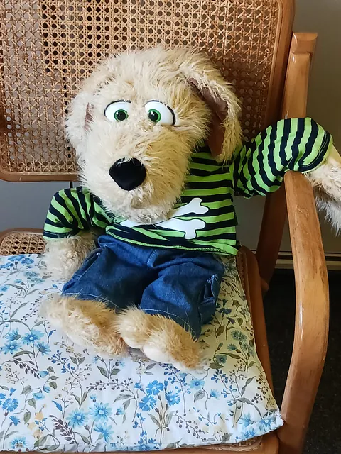 Bild von Benno (dem Kirchenhund)